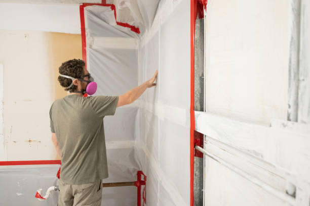 Best Real Estate Mold Inspection  in Cambridge, NE