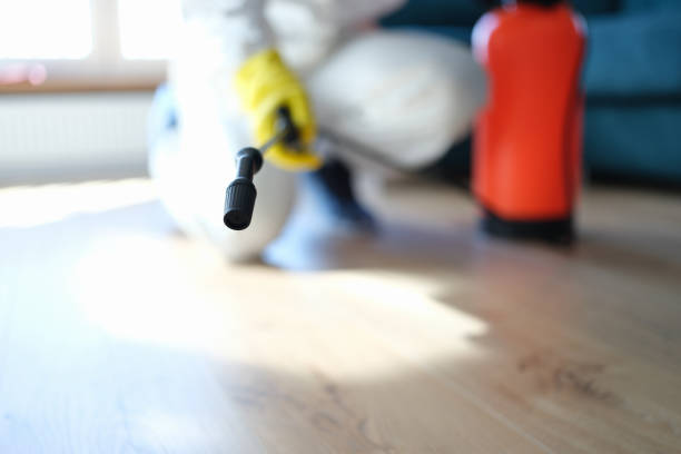 Best Mold Odor Removal Services  in Cambridge, NE