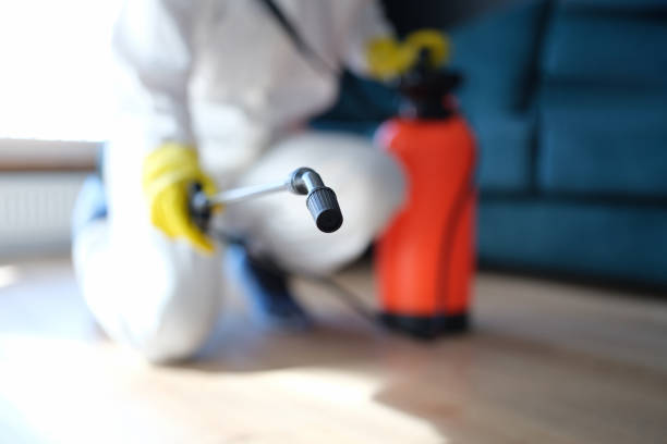 Best Forensic Mold Investigation  in Cambridge, NE