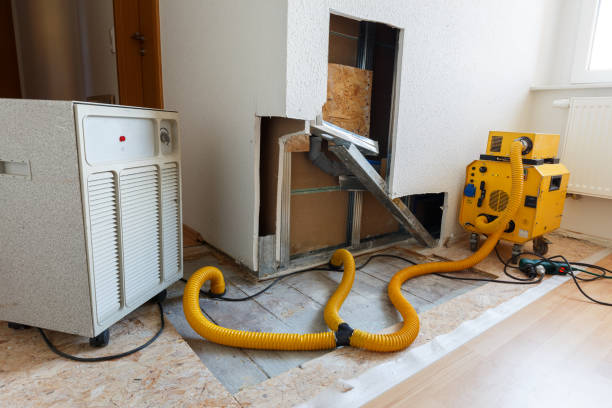 Best Emergency Mold Remediation  in Cambridge, NE